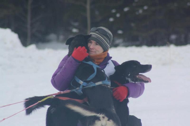 musher sled dogs Heidi Sutter Alaska