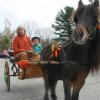 Festively decked-out miniature horse Wind Dancer and his owner Susan Zimmerman of Woolwich give Marjorie Smith’s daughter Kylee Smith, 5, a ride through the Wiscasset municipal building parking lot, at the Scarecrow Festival on October 12. SUSAN JOHNS/Wiscasset Newspaper