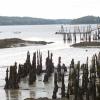 Wiscasset Harbor at low tide in late October. GARY DOW/Wiscasset Newspaper