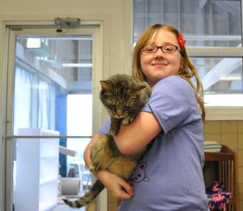 animal shelter cat fundraiser