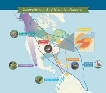 map, bird migration, boreal forest, Canada, boreal songbird initiative, Jeff Wells