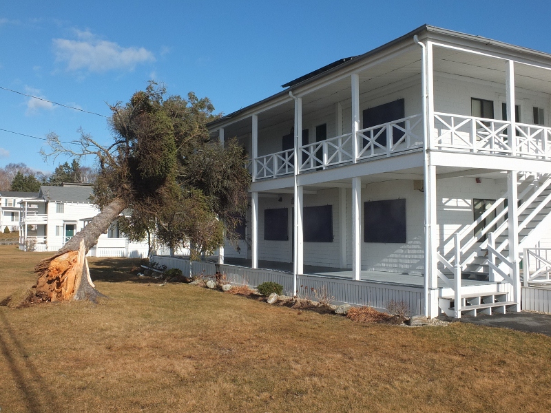 A big spruce tree topples into the Ocean Point Inn. RYAN LEIGHTON/Boothbay Register A big spruce tree topples into the Ocean Point Inn. RYAN LEIGHTON/Boothbay Register