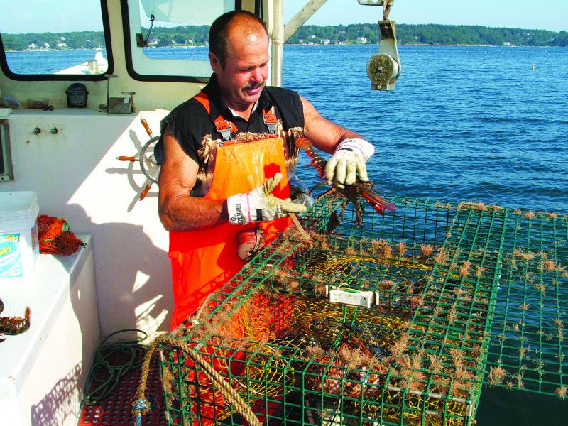 Mike Lewis of East Boothbay lobstering on the Victoria's Secret Mike Lewis of East Boothbay lobstering on the Victoria's Secret