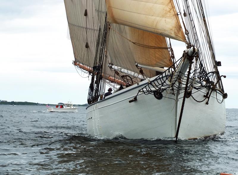 Windjammer Days Windjammer Days