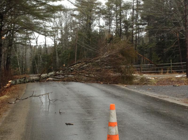 Downed wires on Dover Road in Boothbay. RYAN LEIGHTON/Boothbay Register, Wiscasset Newspaper. Below: Downed tree on Back River Road in Boothbay. SUE MELLO/Boothbay Register, Wiscasset Newspaper. Bottom photo: A big spruce tree topples into the Ocean Point Inn. RYAN LEIGHTON/Boothbay Register Downed wires on Dover Road in Boothbay. RYAN LEIGHTON/Boothbay Register, Wiscasset Newspaper