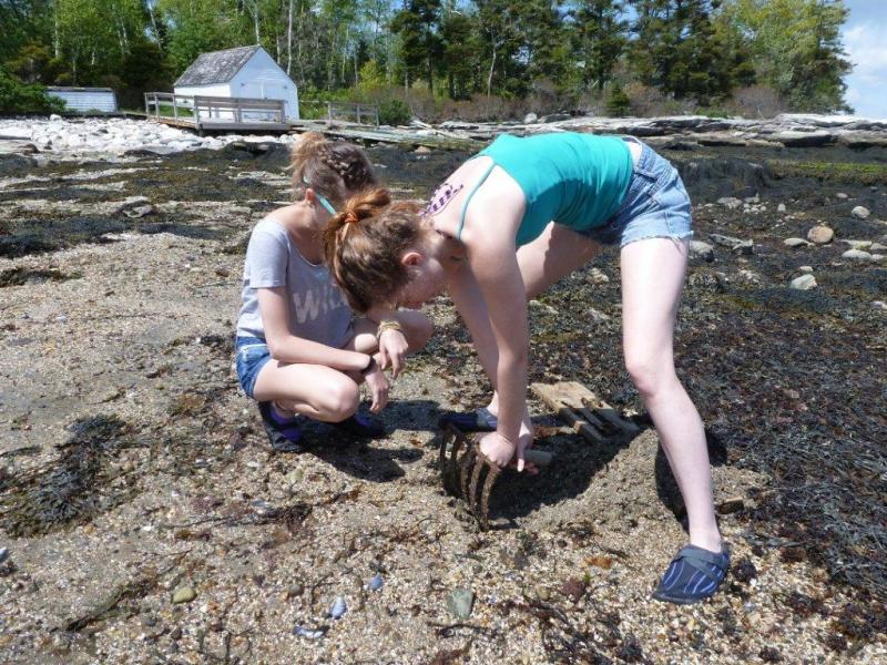 Brynn Doherty and Brittany Clark dig into the sand looking for an elusive clam. KATRINA CLARK/Boothbay Register Brynn Doherty and Brittany Clark dig into the sand looking for an elusive clam. KATRINA CLARK/Boothbay Register