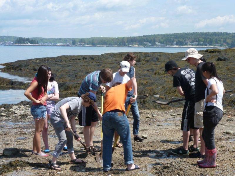 The Pirates dig in the Burnt Island mud flats. KATRINA CLARK/Boothbay Register The Pirates dig in the Burnt Island mud flats. KATRINA CLARK/Boothbay Register
