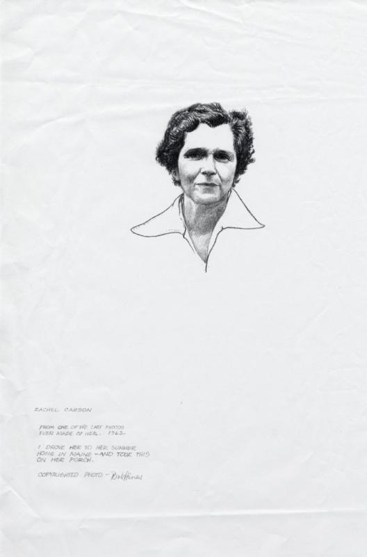 Robert Hines’ pencil portrait of Rachel Carson based on a photograph of her standing on the deck of her cottage overlooking the Sheepscot River on Southport Island.
It has never been displayed in Maine. Courtesy of Sara Lien Edelman