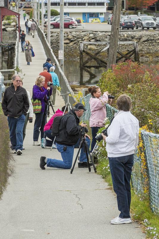 Participants in the 2013 Photo Walk shoot some scenes from the east of the footbridge in Boothbay Harbor. Courtesy of Michael Leonard