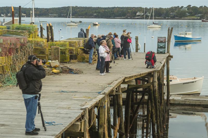 Participants in the 2013 Photo Walk shoot some scenes from a wharf on the east side of Boothbay Harbor. Courtesy of Michael Leonard