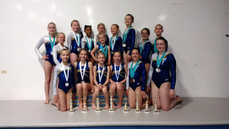 CLC YMCA gymnasts who qualified for the 2015 Northeast Regional Meet in Amherst, Massachusetts. Courtesy of Michael Johnson