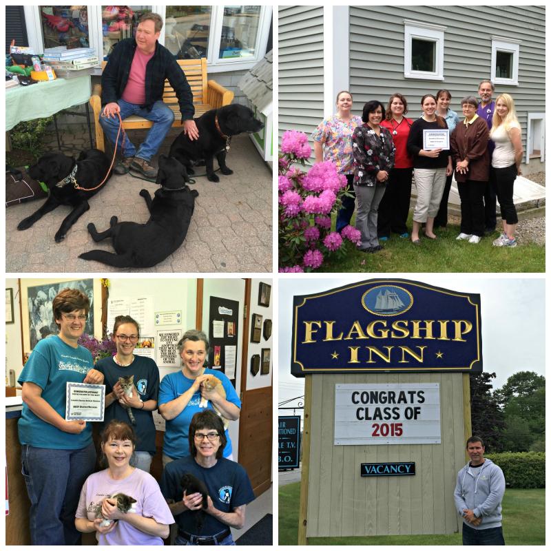 The four local winners of Downeast Dog News “Best of the Best.” Top left: Don Kingsbury of Two Salty Dogs with three of his black labs. Top right: The staff of Boothbay Animal Hospital. From left: Gail Christopher-Gilbert, Lori Buckingham, Dr Kerri Padgett, Carrie Koskela, Jill Wood, Kathleen Loewe, Dr. Dean Domeyer and Samantha Hicks. Not pictured: Dr. Kellie Wedge and Melissa Bosse. Bottom left: Members of the Lincoln County Animal Shelter staff hold kittens up for adoption at the shelter. Clockwise from top left: Betsy Pratt, Amanda Yeaton, Jen Feltis, Eliza Allison, and Tammy Steinmetz. Bottom right: Aaron Blake stands by the sign at Flagship Inn, voted most pet-friendly lodging in all of Maine. Photos by KATRINA CLARK and Dr. Kellie Wedge/Melissa Bosse