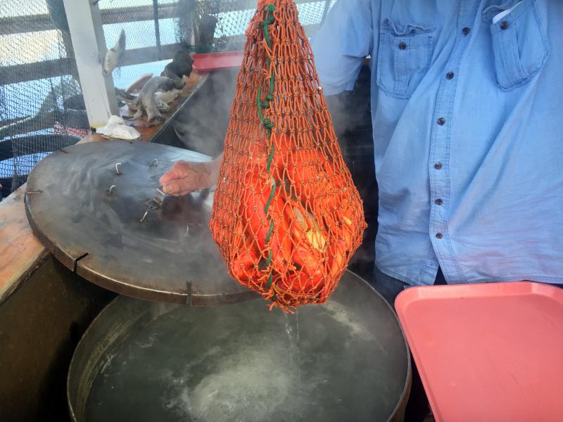 Frank Sprague takes a whole lobster dinner out of a huge vat of boiling water. SUZI THAYER/Wiscasset Newspaper
