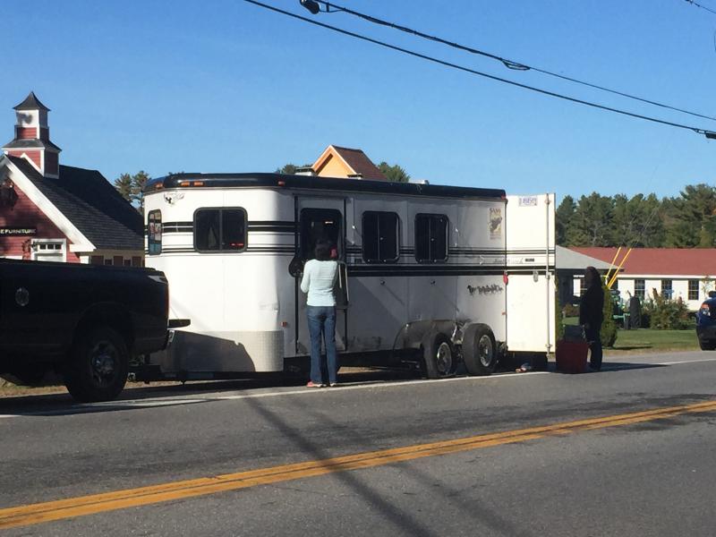 A person meets with a horse through the window of a horse trailer that police say was struck an Oct. 8 crash on Route 1 in Wiscasset. SUSAN JOHNS/Wiscasset Newspaper