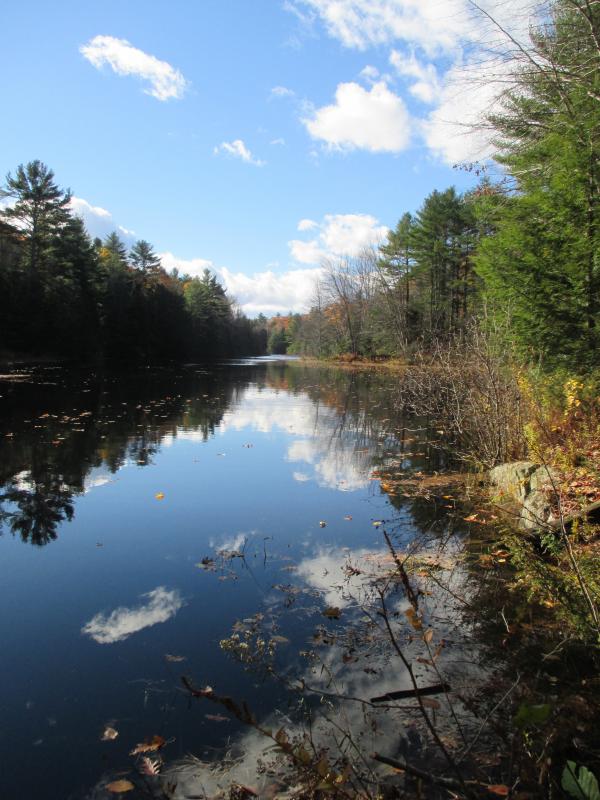 Shown here is the lake created by the dam, a part of the Montsweag Dam Preserve. A gift of $100,000 from Central Maine Power Co. came along with the property's donation. The money is to be used for stewardship and monitoring. PHIL DI VECE/Wiscasset Newspaper