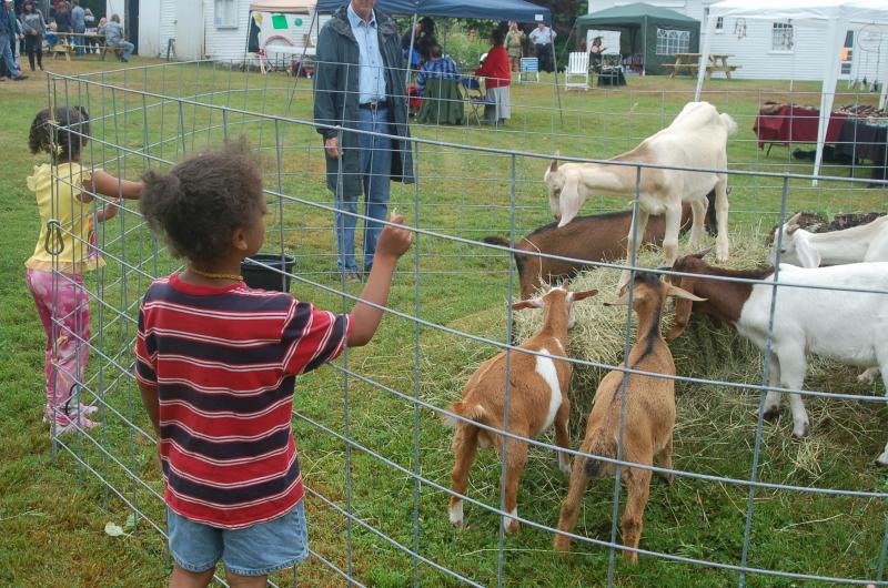 Muijn and Tahay Cook from Waterville feed the goats. ART MAYERS/Wiscasset Newspaper
