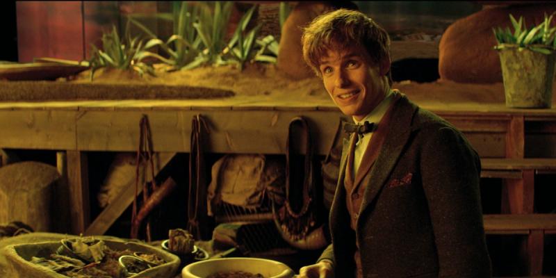 Newt Scamander (Eddie Redmayne) inside his suitcase filled with magical creatures. There’s even one in the photo. Can you see it? No worries. “Fantastic Beasts and Where To Find Them,” the first in a new series of films by J.K. Rowling is playing at The Harbor Theatre.