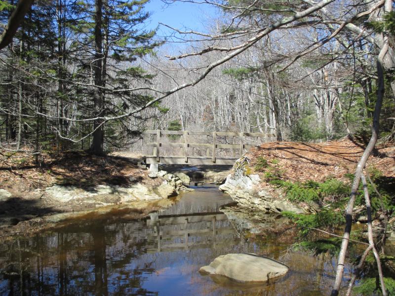 The footbridge at McDonald Sanctuary. PHIL DI VECE/Wiscasset Newspaper