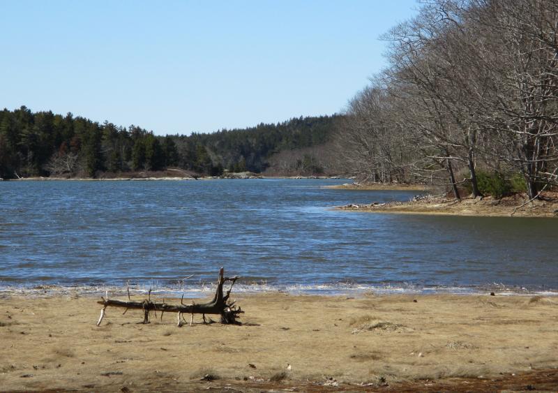 The view across Spirit Pond from the shore of McDonald Sanctuary. PHIL DI VECE/Wiscasset Newspaper