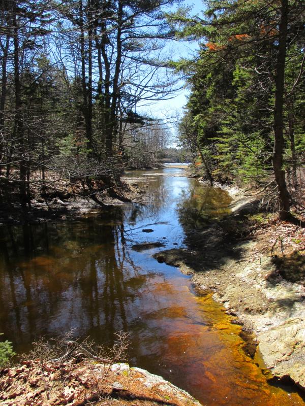 Looking southward toward Spirit Pond from the footbridge at McDonald Sanctuary in Phippsburg. PHIL DI VECE/Wiscasset Newspaper