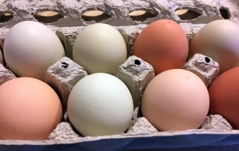 Some pretty eggs from Nell Tharpe’s cute little chickens. SUZI THAYER/Boothbay Register