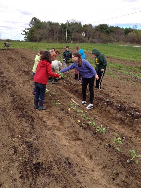 Twin Villages Foodbank Farm to grow food for seven food pantries in