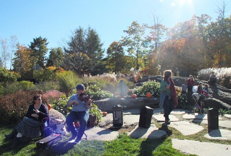 A fiddler, sunshine, pumpkins ... a beautiful October day at CMBG. LISA KRISTOFF/Boothbay Register Coastal Maine Botanical Gardens
