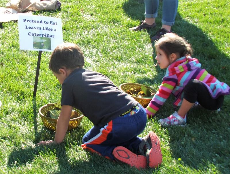These two young ones are getting themselves ready to pretend to eat leaves like a caterpillar. LISA KRISTOFF/Boothbay Register The Great Pumpkin Hunt at Coastal Maine Botanical Gardens Oct. 20.