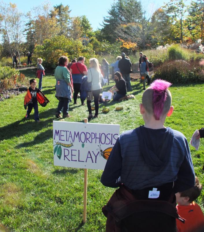 The start of the Metamorphosis Relay. LISA KRISTOFF/Boothbay Register Coastal Maine Botanical Gardens