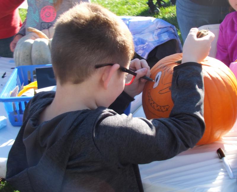 This young lad is completely focused. LISA KRISTOFF/Boothbay Register The Great Pumpkin Hunt at Coastal Maine Botanical Gardens Oct. 20.