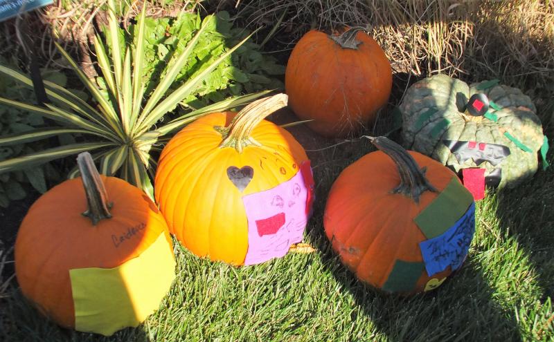 Small gallery of decorated pumpkins. LISA KRISTOFF/Boothbay Register Coastal Maine Botanical Gardens