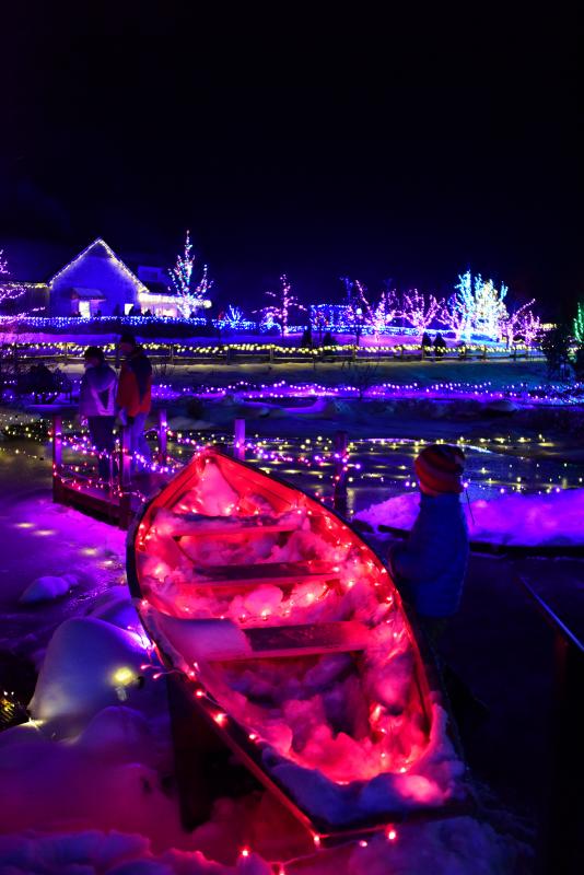Scenes like this one are many when the Gardens are aglow for the holiday season! Courtesy of CMBG