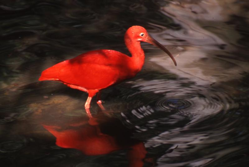 Bruce Burnham photo