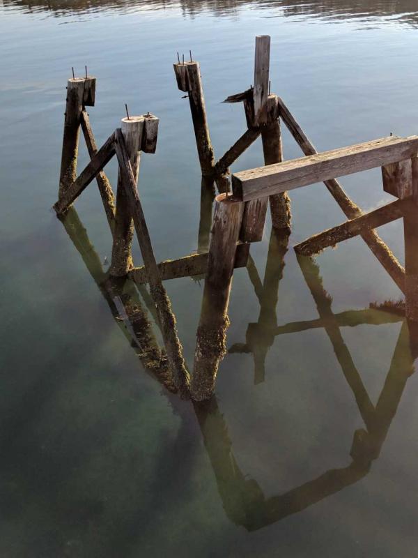 Dick Morrison photo