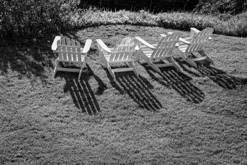 Martin Grassie photo