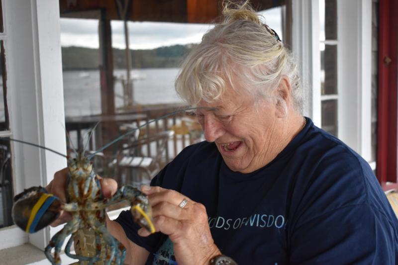 Donna Waterman admires the blue lobster in the touch tank Maine State Aquarium provided for Wiscasset Yacht Club's open house June 30. Waterman divides her time between living in Wiscasset and Palmetto, Florida. PHIL DI VECE/Wiscasset Newspaper