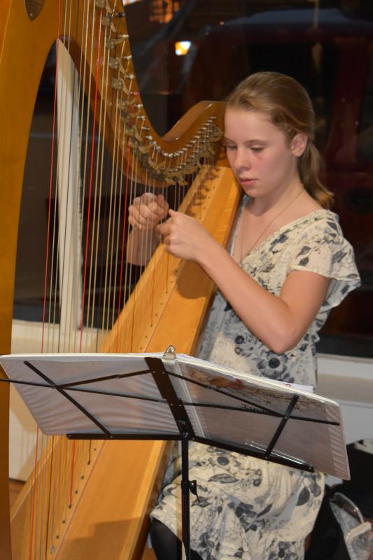 Torren Nehrboss, a student of Suki Flanagan of Alna, plays the harp at Sylvan Gallery. PHIL DI VECE/Wiscasset Newspaper