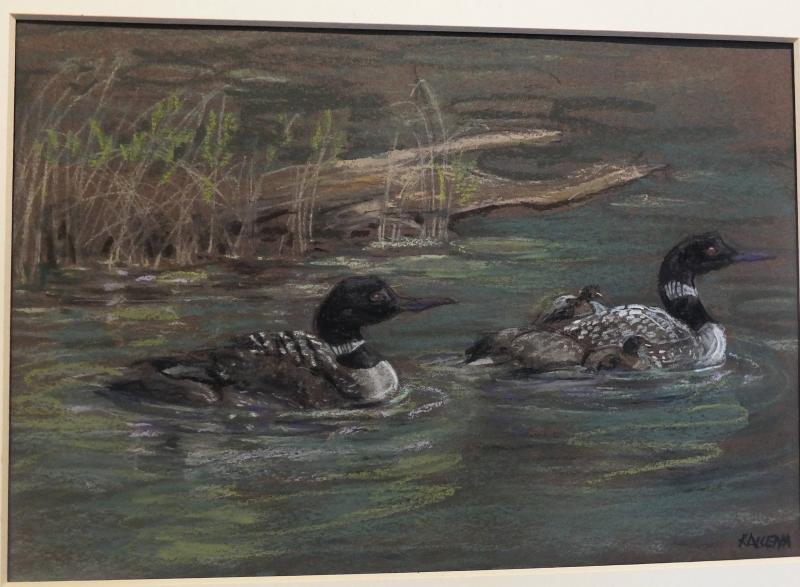 “Loons Among the Reeds” - chalk pastel - Karen “Kallena” Chutsky Karen “Kallena” Chutsky