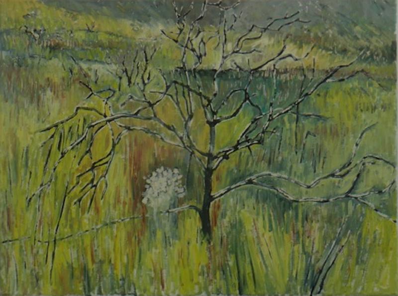 “Tree With Black Limbs,” a John M. T. Seitzer illustration for “come walk in the Fynbos with me,” written by Susan Schadler. Courtesy of Lynne Seitzer John M.T. Seitzer