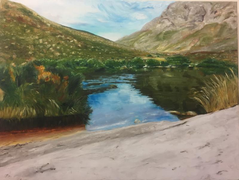 “Palmiet River Swimming Hole” by Lynne Seitzer. The illustration is in “come walk in the Fynbos with me,” written by Susan Schadler. Courtesy of Lynne Seitzer Lynne Seitzer