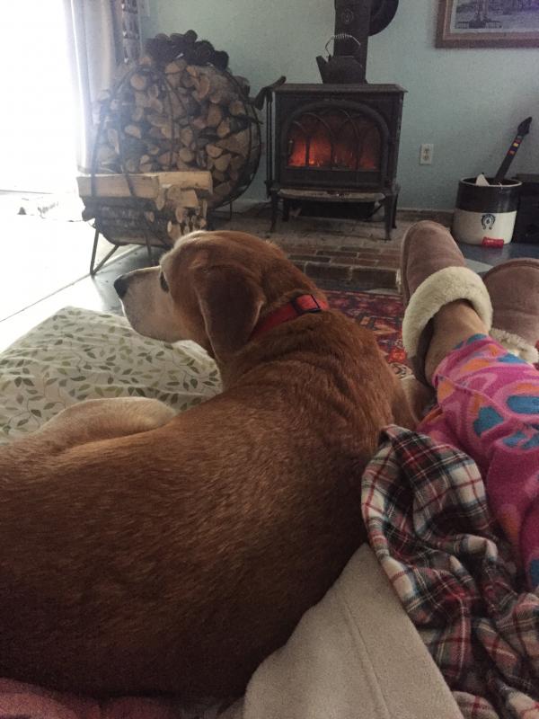Kim Andersson spends quality time Friday morning with yellow hound dog mix Tigger. Courtesy of Kim Andersson