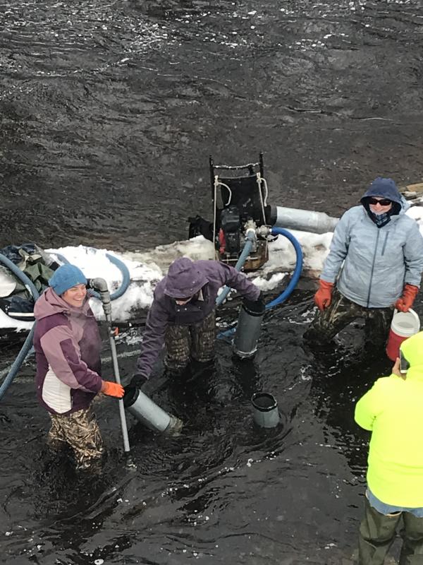 Coldwater respite for Sheepscot River migratory fish - Wiscasset Newspaper