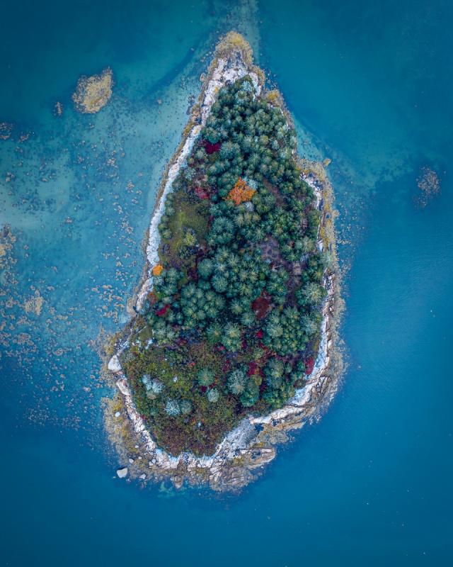 MPS 2020: Second Place Color: “The Jewel of Hatchet Cove” by Isaac Crabtree of Monson. Isaac Crabtree