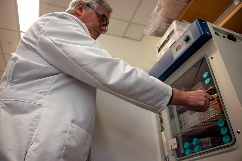 Senior Research Scientist José Fernández Robledo works in his laboratory at Bigelow Laboratory for Ocean Sciences. Fernández Robledo is one of the lead authors on a study detailing more than 200 new genetic techniques for using marine microbes to investigate a host of questions in biology. Courtesy of Bigelow Laboratory for Ocean Sciences