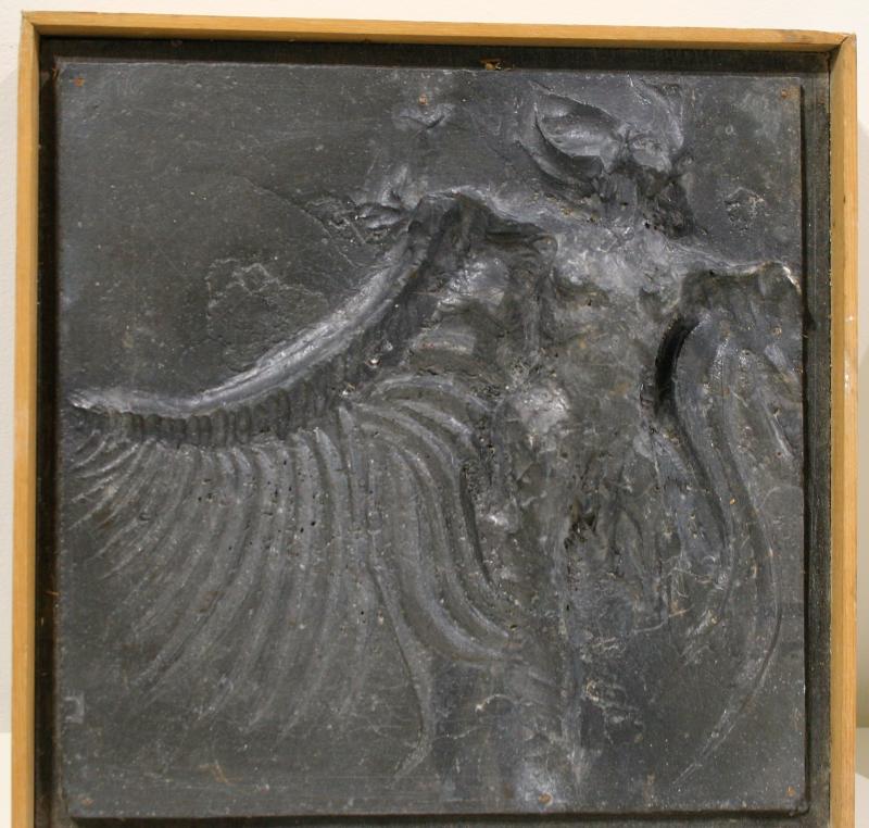 “Fallen Angel” by Don Meserve. Don Meserve