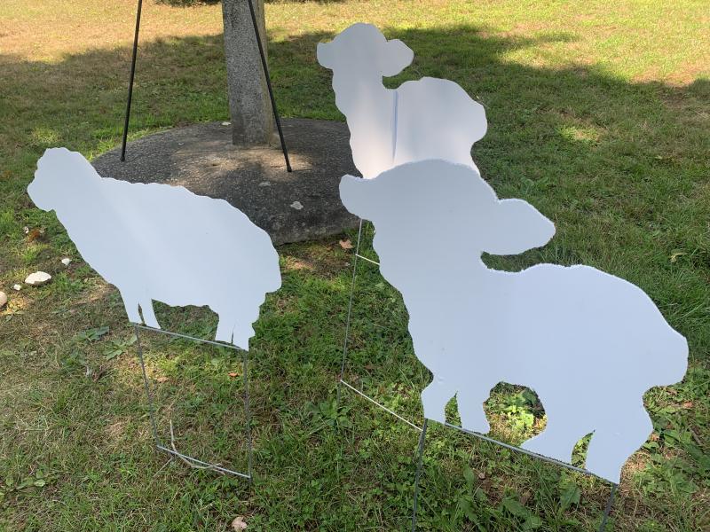 Sheep figures from First Congregational’s flockings for cheer and funds add to the picnic’s cheer. SUSAN JOHNS/Wiscasset Newspaper