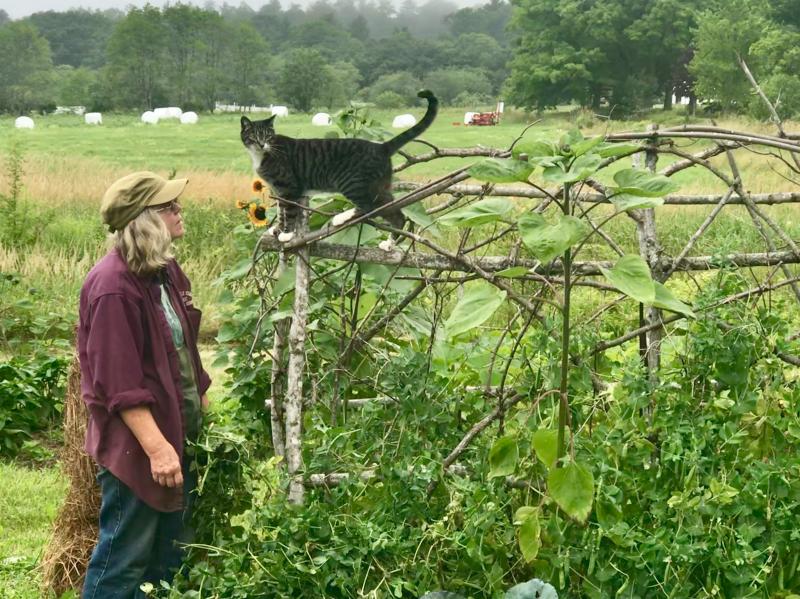 Andrea Smith, co-owner with Allan Smith of Brae Maple Farm, Conservation Farm of 2020 (with Hagus). Linda Redman photo