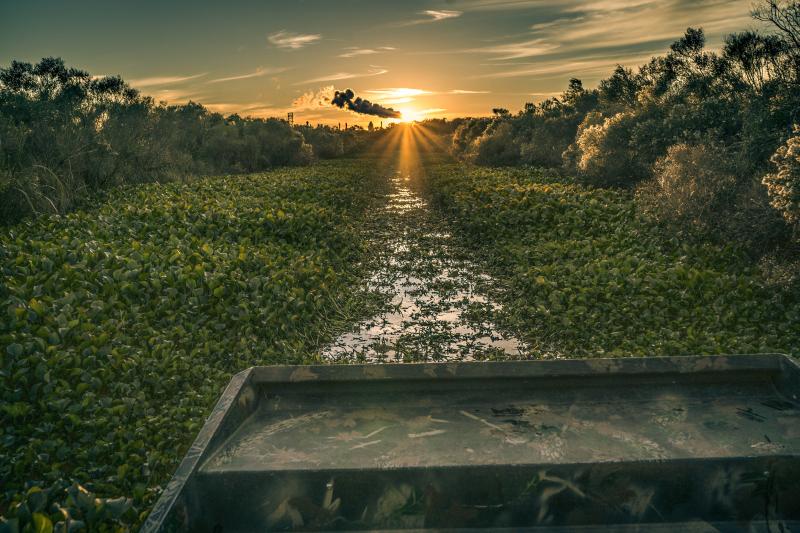 The Louisiana Delta as it is beautifully shot in “Last Call For the Bayou.” photographed by an activist in his homemade flying machine. Courtesy of Ali Stevenson