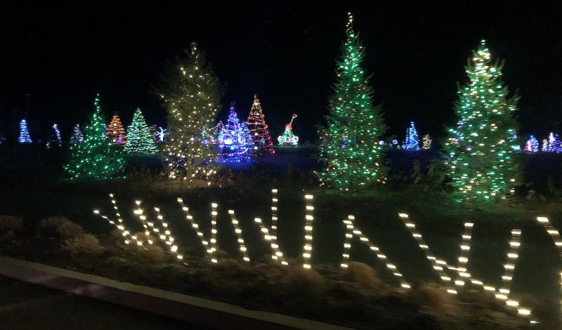 Christmas tree village. STEVE EDWARDS/Boothbay Register