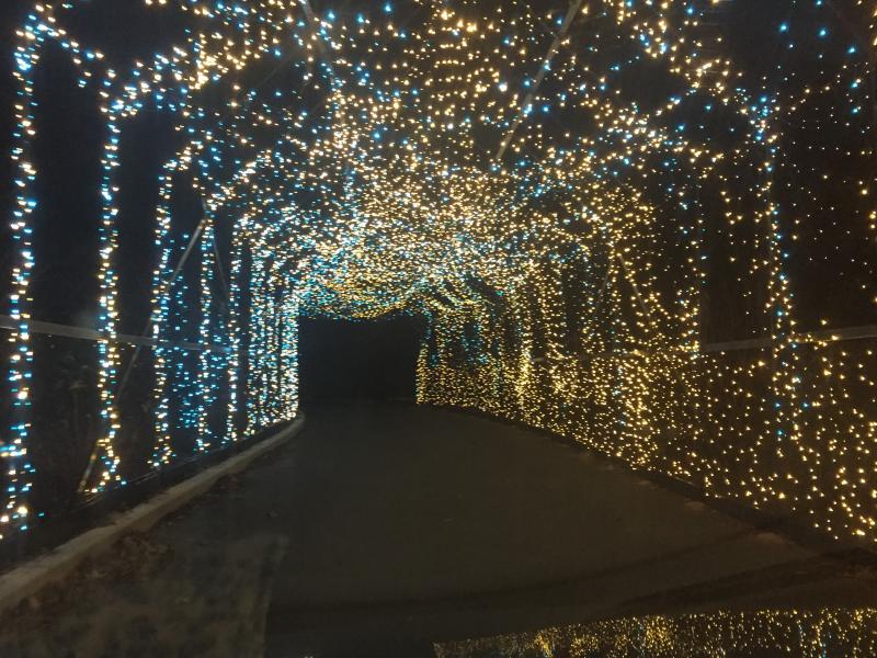 Covered bridge alight with magic. LISA KRISTOFF/Boothbay Register